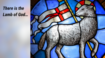 Gospel Reflections for January 18 2026: 2nd Sunday in Ordinary Time