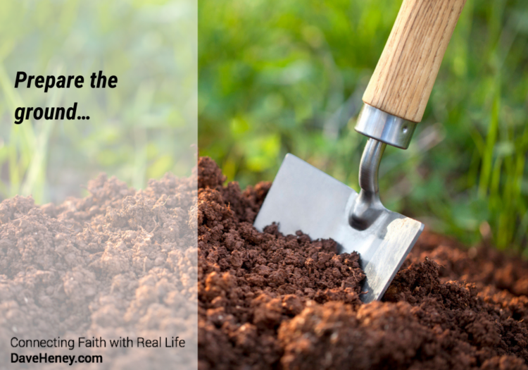 Gospel Reflections for July 12 2026: 15th Sunday in Ordinary Time