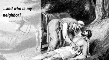 Gospel Reflections for July 13 2025: 15th Sunday in Ordinary Time