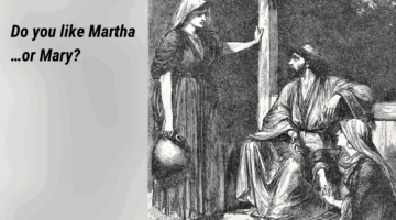 Gospel Reflections for July 20 2025: 16th Sunday in Ordinary Time