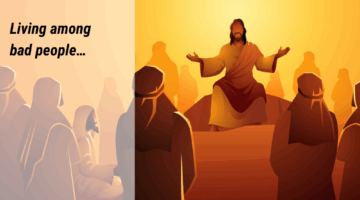 Gospel Reflections for July 6 2025: 14th Sunday in Ordinary Time