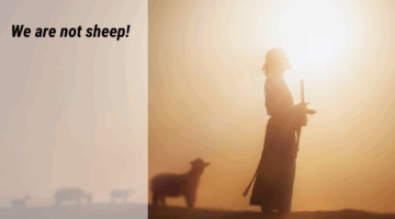 Gospel Reflections for May 11 2025: 4th Sunday of Easter