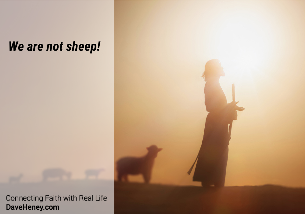 Gospel Reflections for May 11 2025: 4th Sunday of Easter