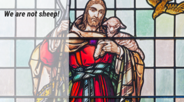 Gospel Reflections for May 12 2019: 4th Sunday of Easter