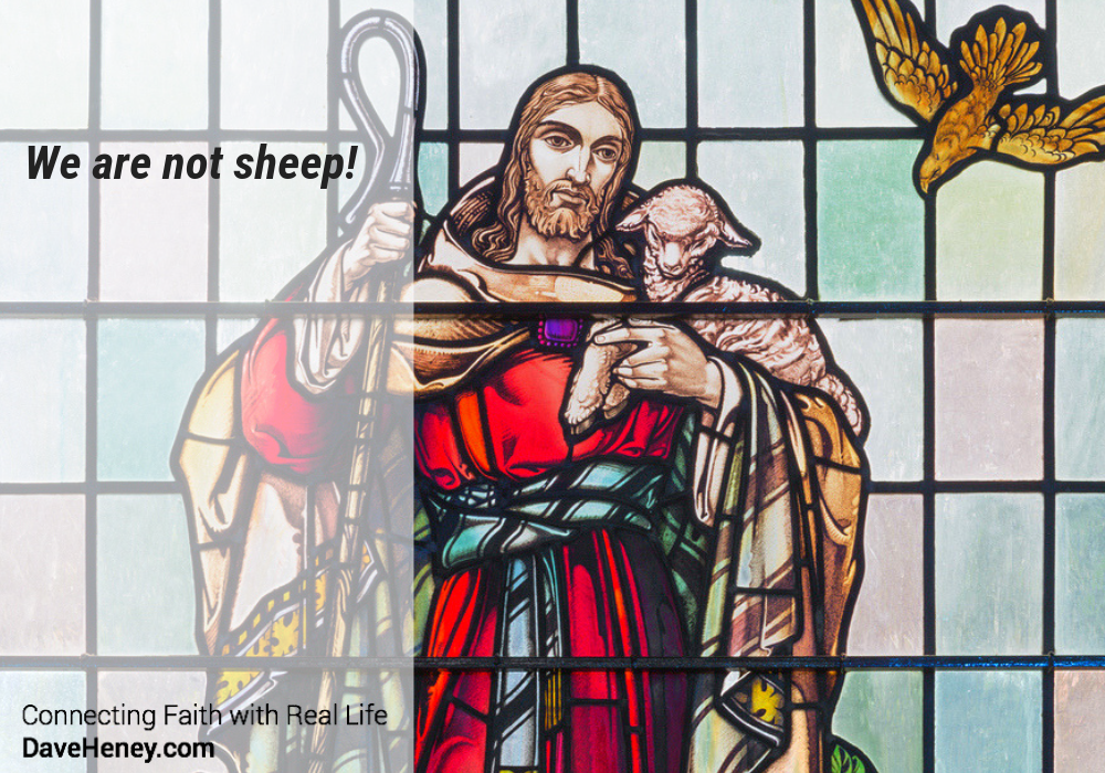 Gospel Reflections for May 12 2019: 4th Sunday of Easter