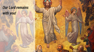 Gospel Reflections for May 24 2020: Feast of the Ascension