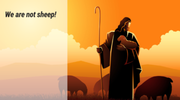 Gospel Reflections for May 8 2022: 4th Sunday of Easter