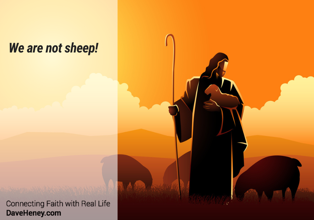 Gospel Reflections for May 8 2022: 4th Sunday of Easter