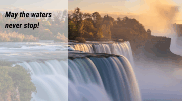 Gospel Reflections for November 9 2025: St. John Lateran